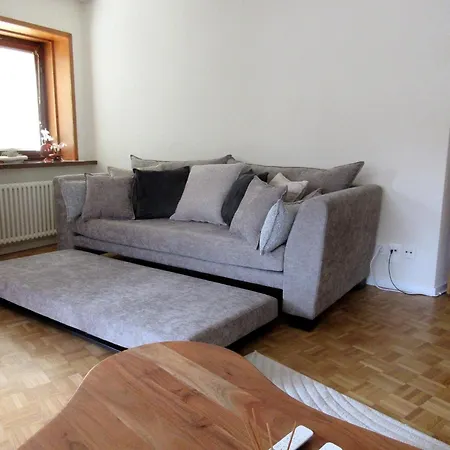 Modern Alpine Terrace *