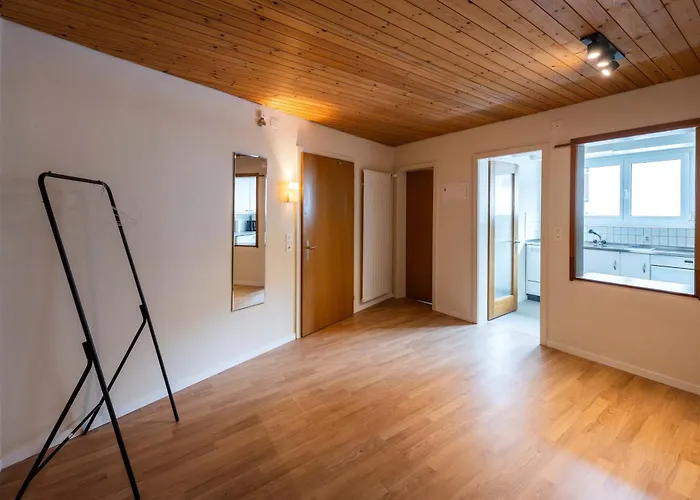 Modern Alpine Terrace Davos